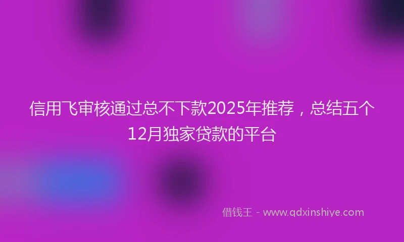 信用飞审核通过总不下款2025年推荐，总结五个12月独家贷款的平台