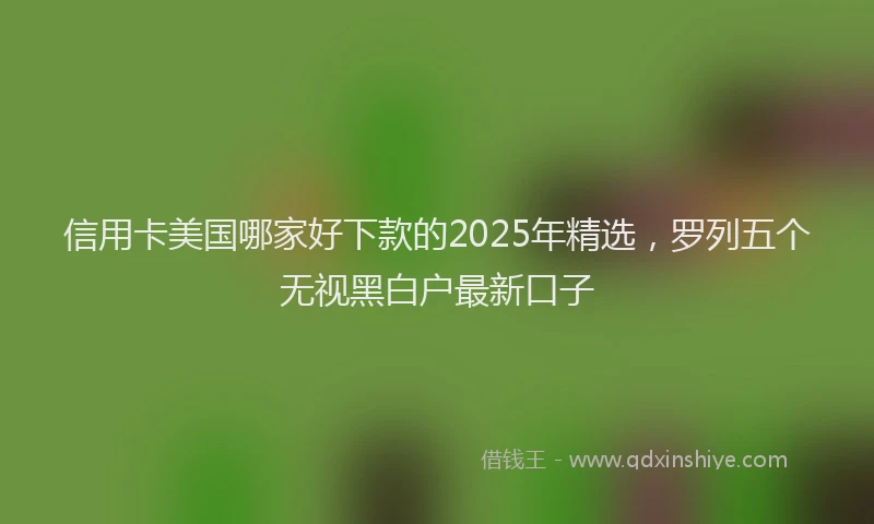 信用卡美国哪家好下款的2025年精选，罗列五个无视黑白户最新口子