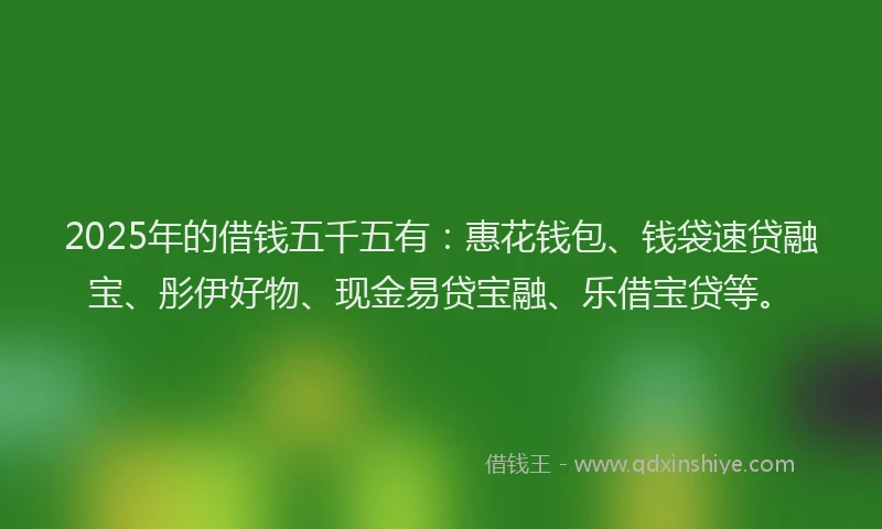 2025年的借钱五千五有：惠花钱包、钱袋速贷融宝、彤伊好物、现金易贷宝融、乐借宝贷等。
