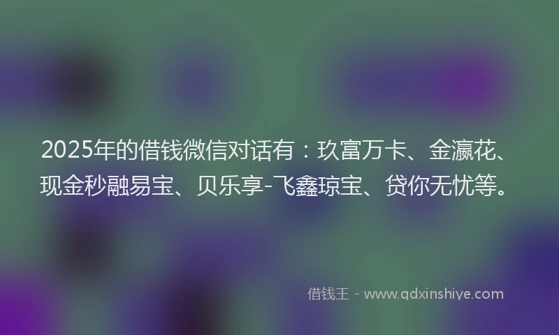 2025年的借钱微信对话有：玖富万卡、金瀛花、现金秒融易宝、贝乐享-飞鑫琼宝、贷你无忧等。