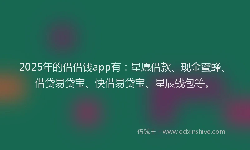 2025年的借借钱app有：星愿借款、现金蜜蜂、借贷易贷宝、快借易贷宝、星辰钱包等。