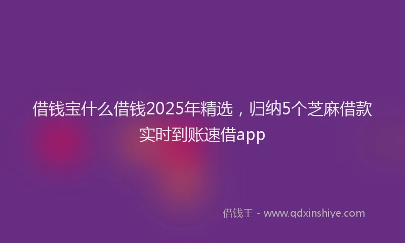 借钱宝什么借钱2025年精选，归纳5个芝麻借款实时到账速借app