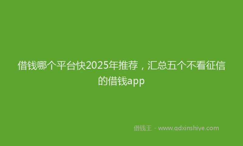 借钱哪个平台快2025年推荐，汇总五个不看征信的借钱app
