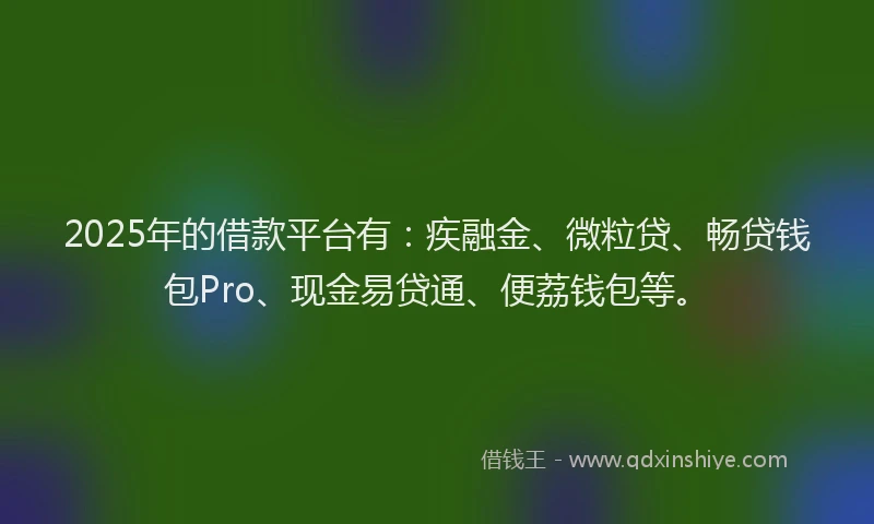 2025年的借款平台有：疾融金、微粒贷、畅贷钱包Pro、现金易贷通、便荔钱包等。