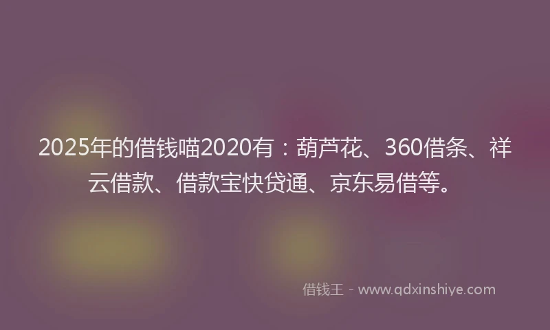 2025年的借钱喵2020有：葫芦花、360借条、祥云借款、借款宝快贷通、京东易借等。