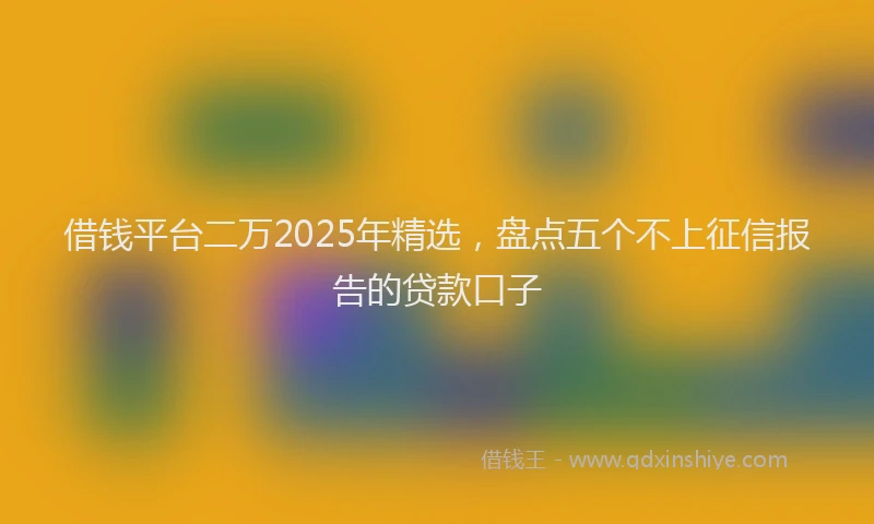 借钱平台二万2025年精选，盘点五个不上征信报告的贷款口子