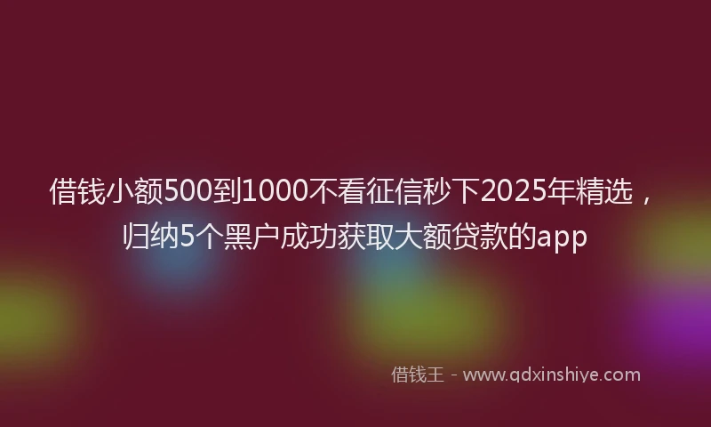 借钱小额500到1000不看征信秒下2025年精选，归纳5个黑户成功获取大额贷款的app