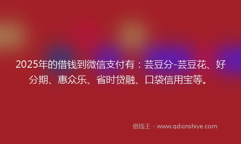 2025年的借钱到微信支付有：芸豆分-芸豆花、好分期、惠众乐、省时贷融、口袋信用宝等。
