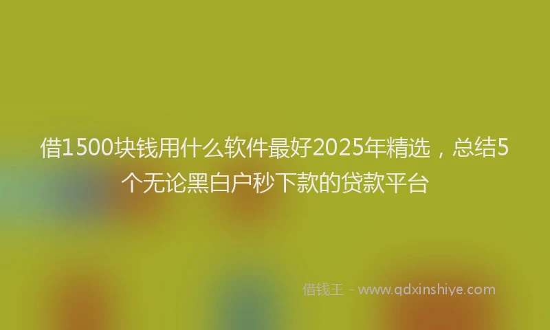 借1500块钱用什么软件最好2025年精选，总结5个无论黑白户秒下款的贷款平台