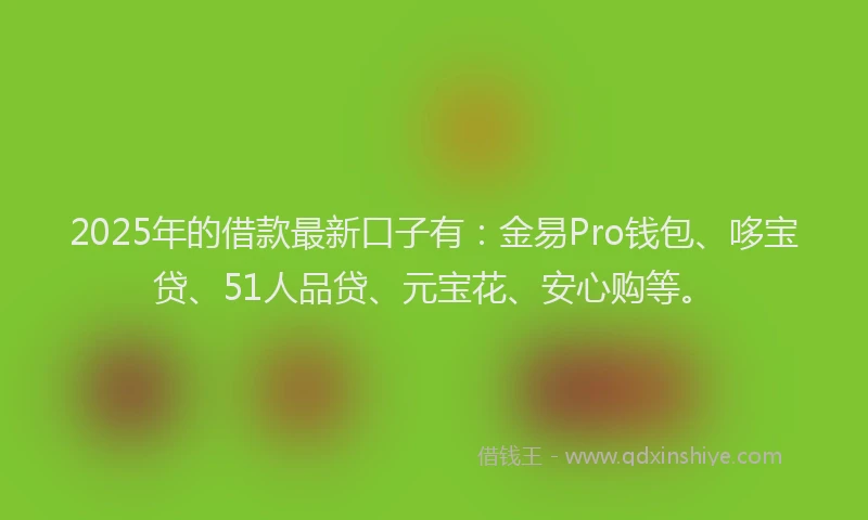 2025年的借款最新口子有：金易Pro钱包、哆宝贷、51人品贷、元宝花、安心购等。