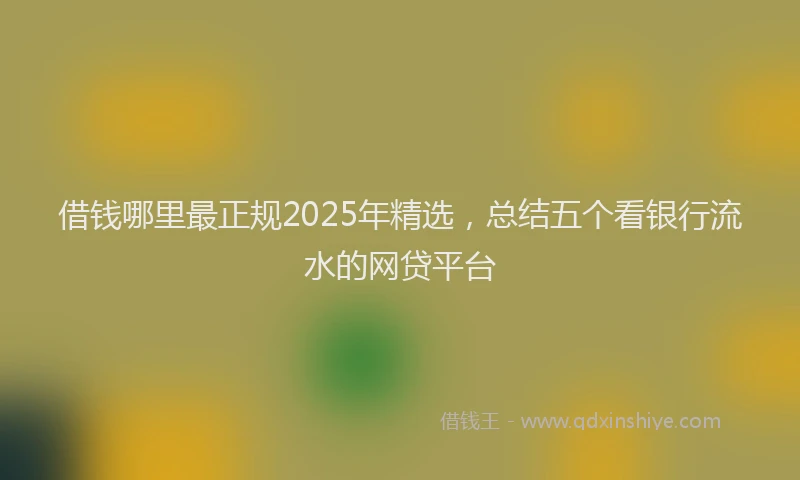 借钱哪里最正规2025年精选，总结五个看银行流水的网贷平台