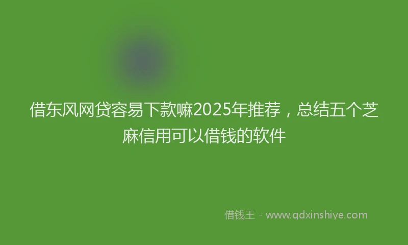 借东风网贷容易下款嘛2025年推荐，总结五个芝麻信用可以借钱的软件