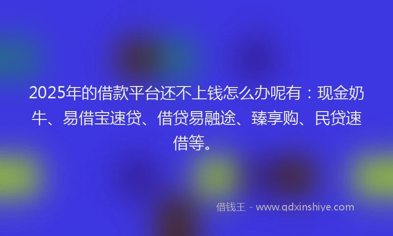2025年的借款平台还不上钱怎么办呢有：现金奶牛、易借宝速贷、借贷易融途、臻享购、民贷速借等。