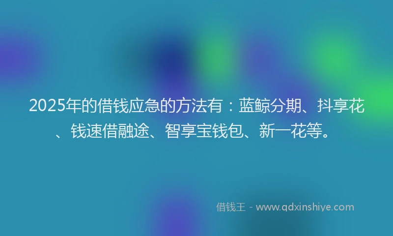 2025年的借钱应急的方法有：蓝鲸分期、抖享花、钱速借融途、智享宝钱包、新一花等。