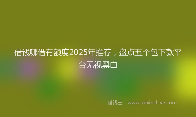 借钱哪借有额度2025年推荐，盘点五个包下款平台无视黑白