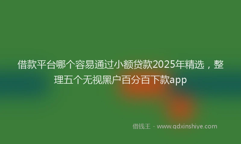 借款平台哪个容易通过小额贷款2025年精选，整理五个无视黑户百分百下款app