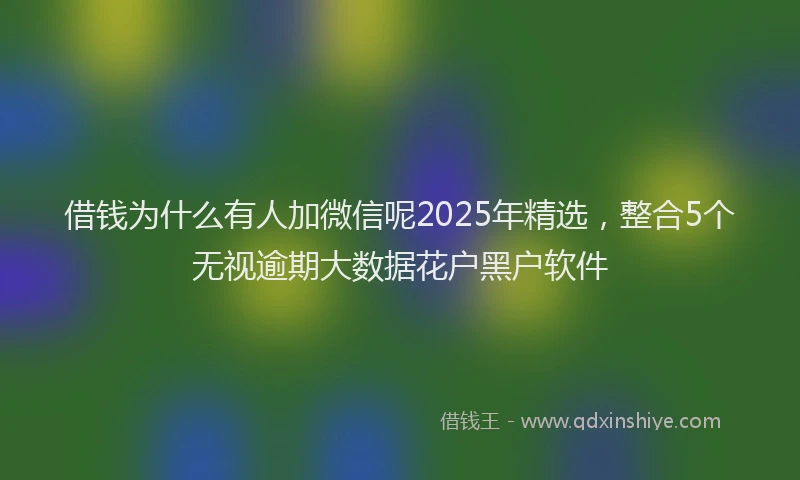 借钱为什么有人加微信呢2025年精选，整合5个无视逾期大数据花户黑户软件