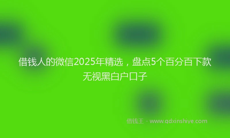 借钱人的微信2025年精选，盘点5个百分百下款无视黑白户口子