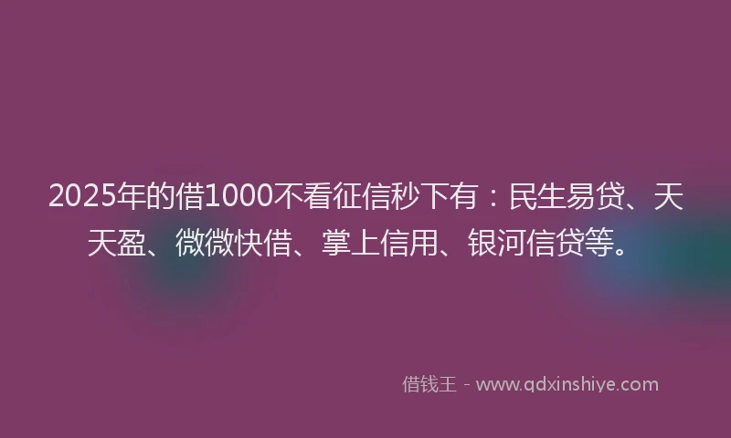 2025年的借1000不看征信秒下有：民生易贷、天天盈、微微快借、掌上信用、银河信贷等。