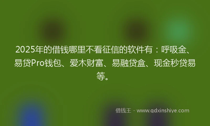 2025年的借钱哪里不看征信的软件有：呼吸金、易贷Pro钱包、爱木财富、易融贷盒、现金秒贷易等。