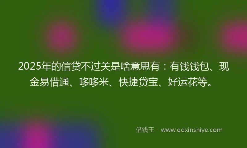 2025年的信贷不过关是啥意思有：有钱钱包、现金易借通、哆哆米、快捷贷宝、好运花等。