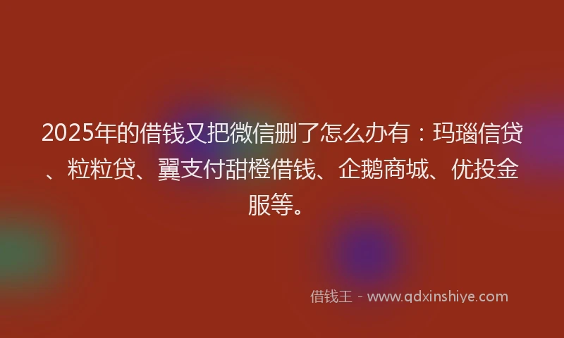 2025年的借钱又把微信删了怎么办有：玛瑙信贷、粒粒贷、翼支付甜橙借钱、企鹅商城、优投金服等。
