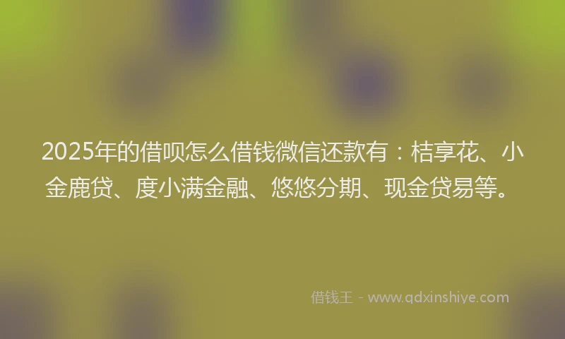 2025年的借呗怎么借钱微信还款有：桔享花、小金鹿贷、度小满金融、悠悠分期、现金贷易等。