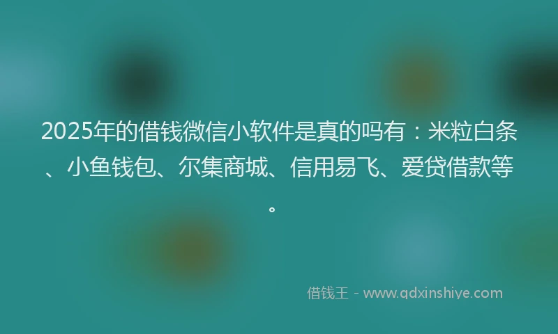 2025年的借钱微信小软件是真的吗有：米粒白条、小鱼钱包、尔集商城、信用易飞、爱贷借款等。