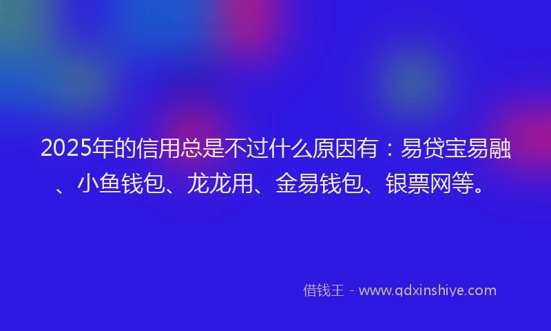2025年的信用总是不过什么原因有：易贷宝易融、小鱼钱包、龙龙用、金易钱包、银票网等。
