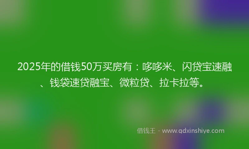 2025年的借钱50万买房有：哆哆米、闪贷宝速融、钱袋速贷融宝、微粒贷、拉卡拉等。