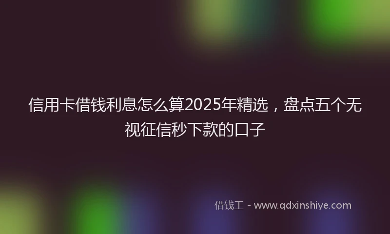 信用卡借钱利息怎么算2025年精选，盘点五个无视征信秒下款的口子