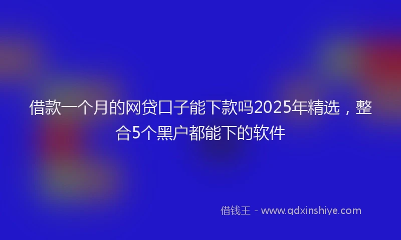 借款一个月的网贷口子能下款吗2025年精选，整合5个黑户都能下的软件