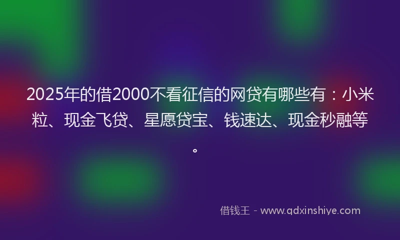 2025年的借2000不看征信的网贷有哪些有：小米粒、现金飞贷、星愿贷宝、钱速达、现金秒融等。