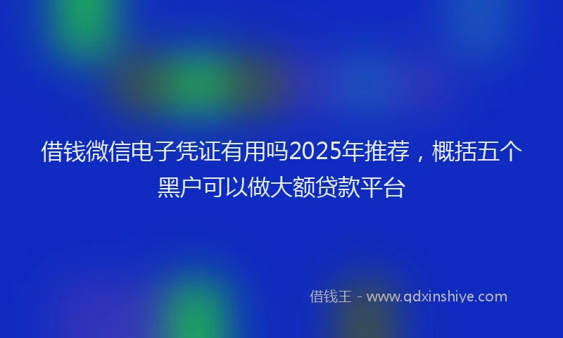 借钱微信电子凭证有用吗2025年推荐，概括五个黑户可以做大额贷款平台