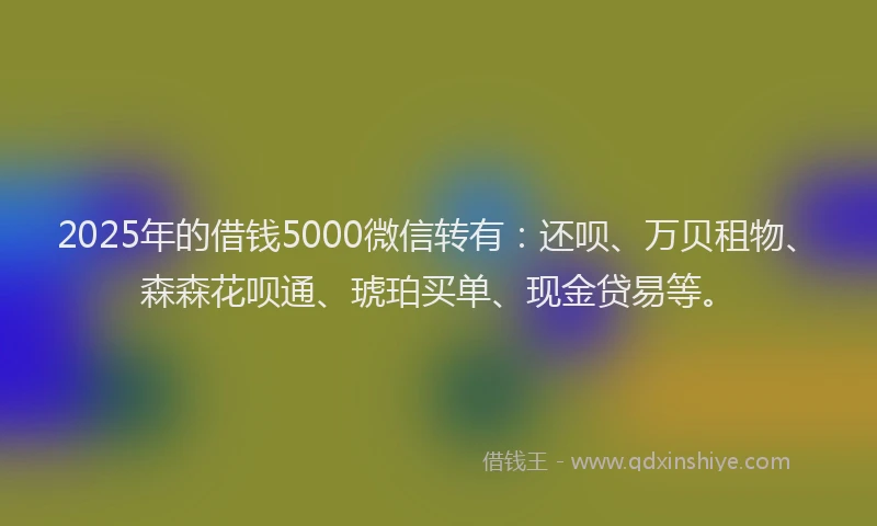 2025年的借钱5000微信转有：还呗、万贝租物、森森花呗通、琥珀买单、现金贷易等。