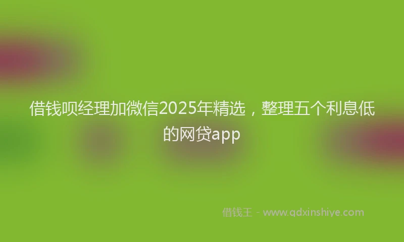 借钱呗经理加微信2025年精选，整理五个利息低的网贷app