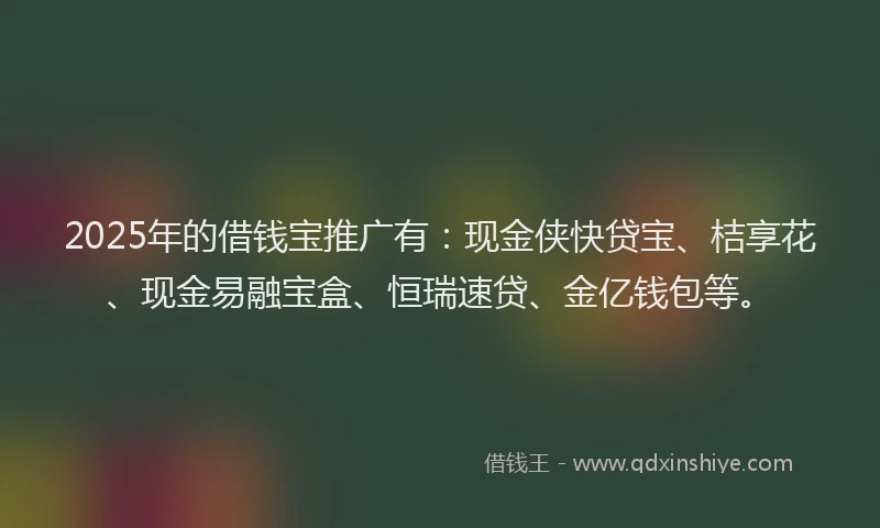 2025年的借钱宝推广有：现金侠快贷宝、桔享花、现金易融宝盒、恒瑞速贷、金亿钱包等。