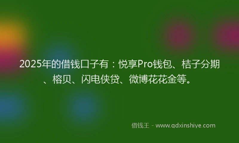 2025年的借钱口子有：悦享Pro钱包、桔子分期、榕贝、闪电侠贷、微博花花金等。