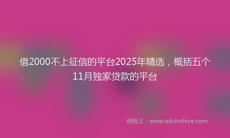 借2000不上征信的平台2025年精选，概括五个11月独家贷款的平台