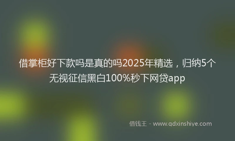 借掌柜好下款吗是真的吗2025年精选，归纳5个无视征信黑白100%秒下网贷app