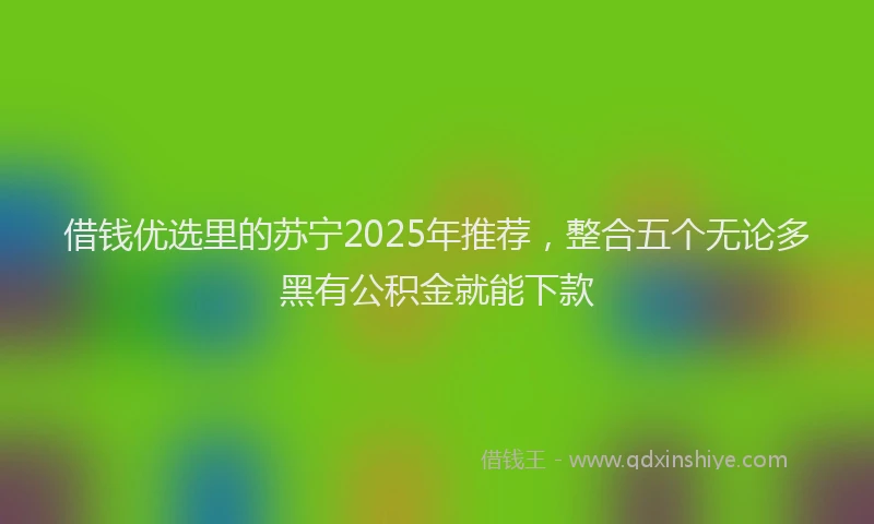 借钱优选里的苏宁2025年推荐，整合五个无论多黑有公积金就能下款