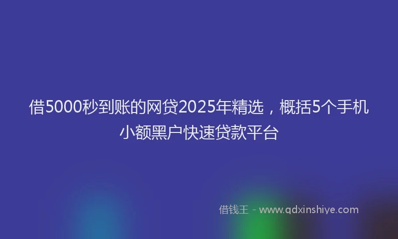 借5000秒到账的网贷2025年精选，概括5个手机小额黑户快速贷款平台