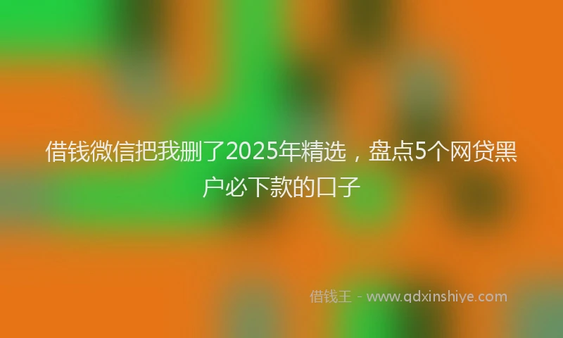 借钱微信把我删了2025年精选，盘点5个网贷黑户必下款的口子