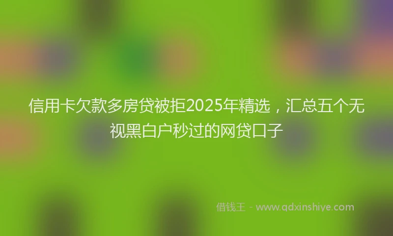 信用卡欠款多房贷被拒2025年精选，汇总五个无视黑白户秒过的网贷口子