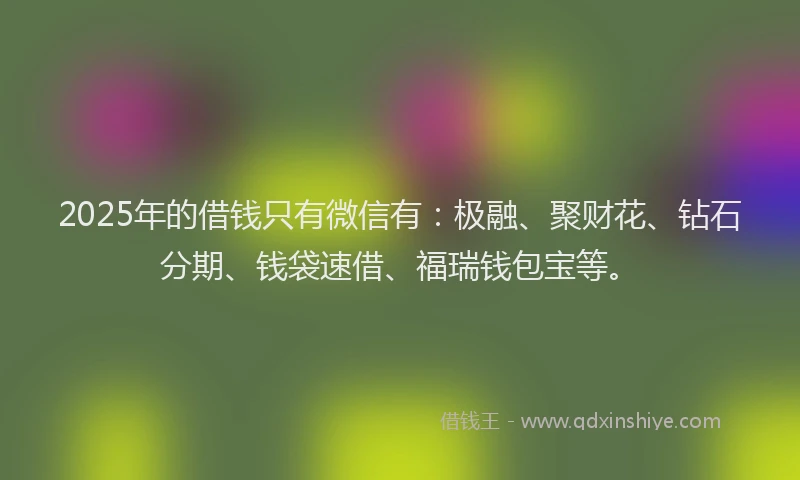 2025年的借钱只有微信有：极融、聚财花、钻石分期、钱袋速借、福瑞钱包宝等。