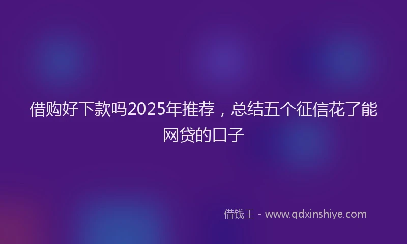 借购好下款吗2025年推荐,总结五个征信花了能网贷的口子