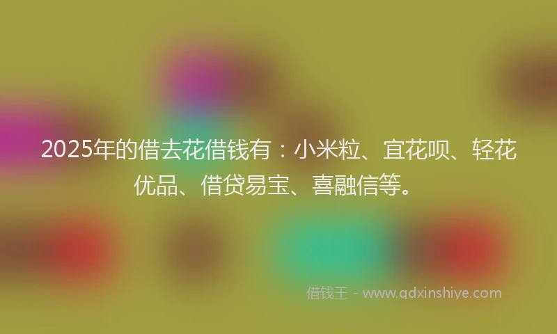 2025年的借去花借钱有：小米粒、宜花呗、轻花优品、借贷易宝、喜融信等。