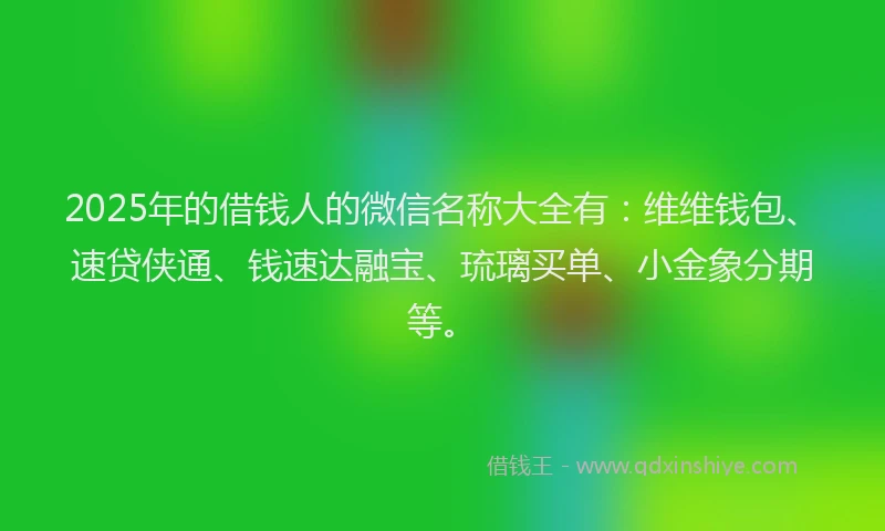 2025年的借钱人的微信名称大全有：维维钱包、速贷侠通、钱速达融宝、琉璃买单、小金象分期等。