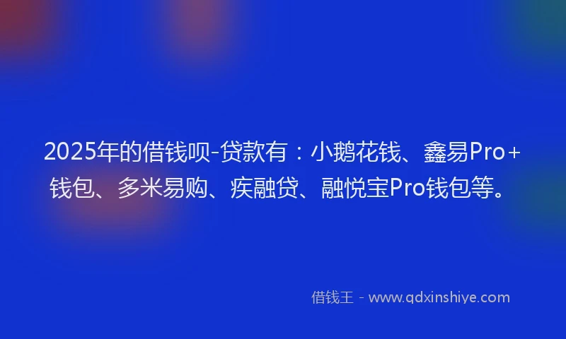 2025年的借钱呗-贷款有：小鹅花钱、鑫易Pro+钱包、多米易购、疾融贷、融悦宝Pro钱包等。