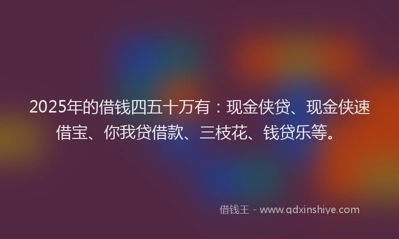 2025年的借钱四五十万有：现金侠贷、现金侠速借宝、你我贷借款、三枝花、钱贷乐等。